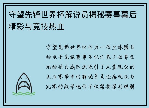 守望先锋世界杯解说员揭秘赛事幕后精彩与竞技热血